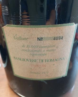 bottiglione vino Sangiovese di Romagna 