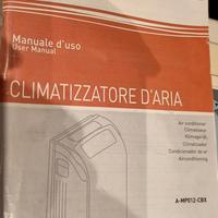 Climatizzatore Ariston 