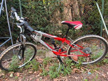 Bici d ragazzo