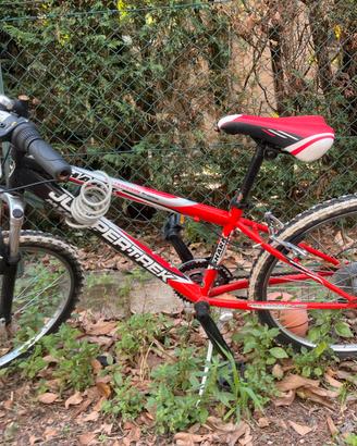 Bici d ragazzo