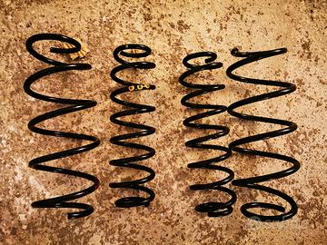 Molle Skoda Fabia prima serie