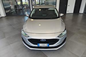 Ford Focus 1.5 EcoBlue 120 CV 5p. Business