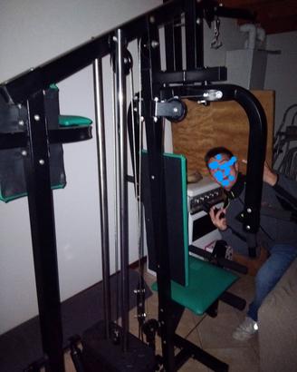 palestra  lineaflex 