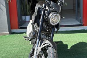 Lem brutus 110