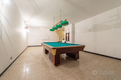 Biliardo Professionale