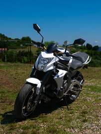 Kawasaki ER6N 2013
