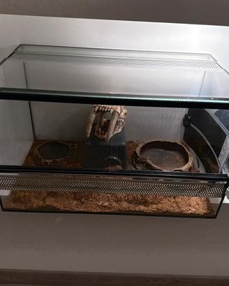 Terrario