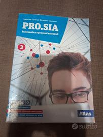 PRO.SIA Informatica e processi aziendali 3