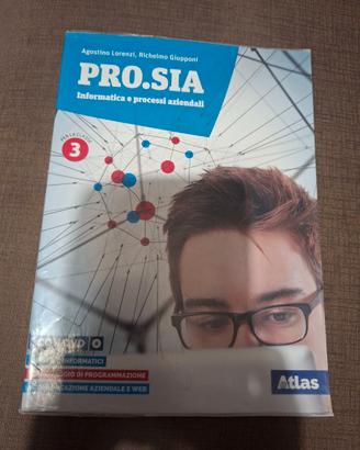 PRO.SIA Informatica e processi aziendali 3