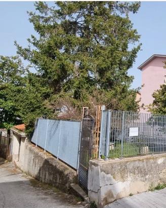 Casa con giardino e garage - Molise