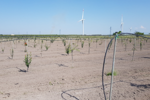 2 ettari zona parcone