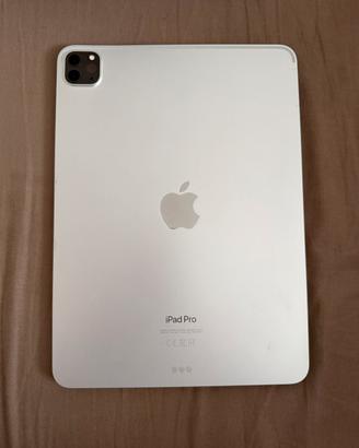 Ipad pro 512 gb