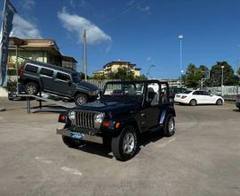 JEEP - Wrangler - cat Sport