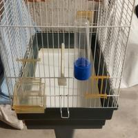 gabbia per uccellini 