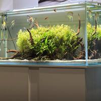 Acquario e accessori