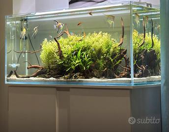 Acquario e accessori