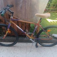 MTB Torpado
