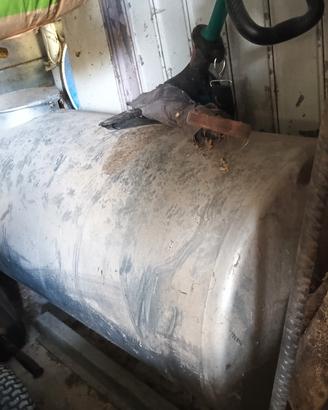serbatoio orizzontal  inox mai usata 500lt