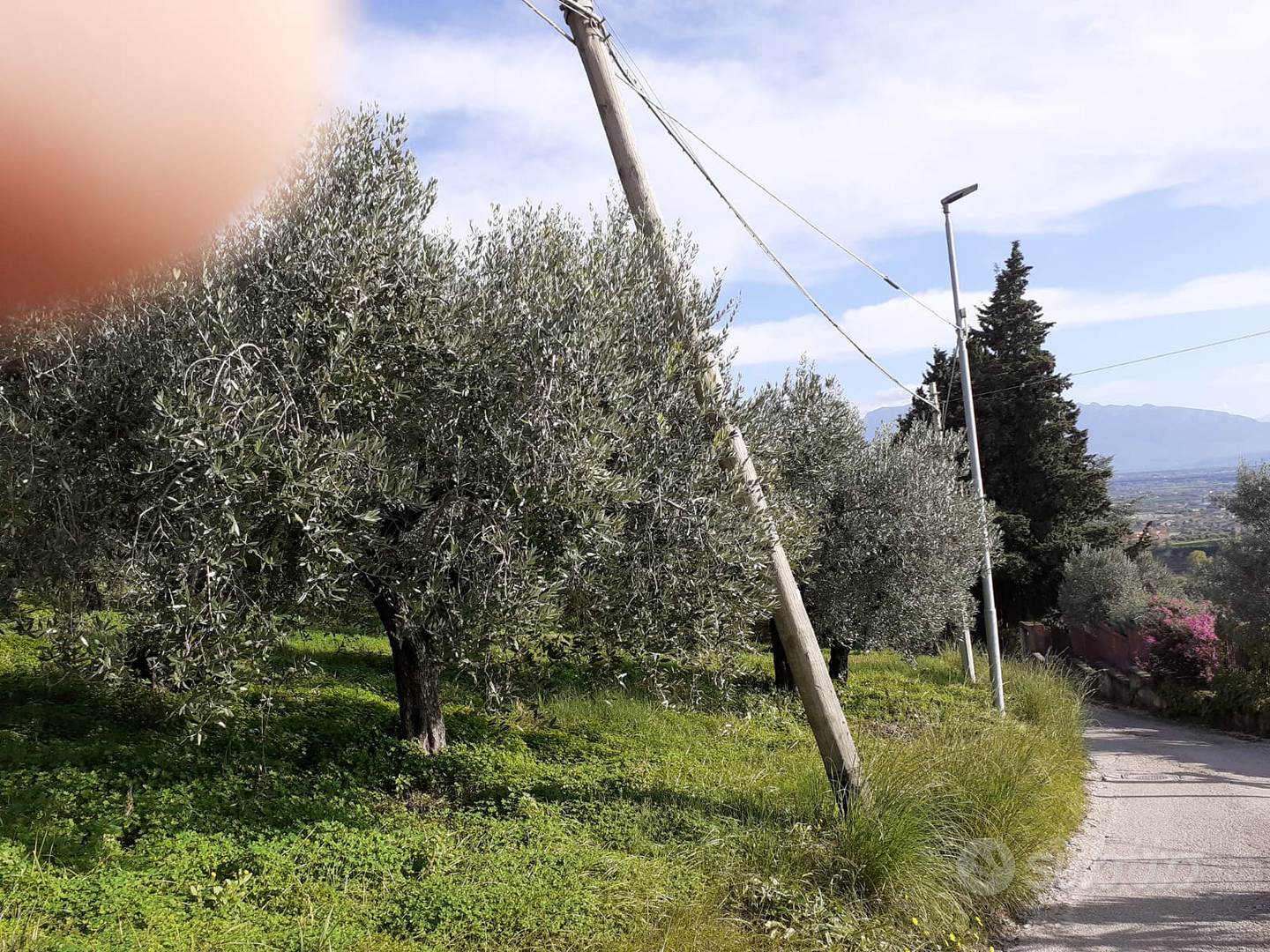 Terreno agricolo con rendita - Vista 4