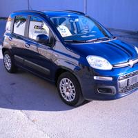 cofano anteriore fiat panda
