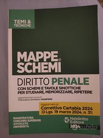 Mappe e Schemi Diritto Penale - Neldiritto editore