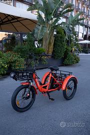 Bici Elettrica Mooncool TK1 Triciclo + Accessori