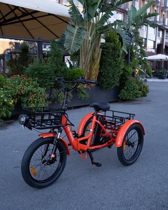 Bici Elettrica Mooncool TK1 Triciclo + Accessori