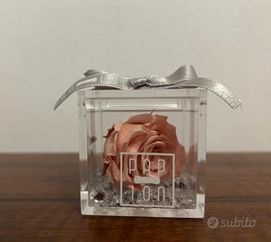 Rose stabilizzate idea bomboniera/segnaposto