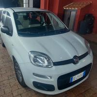 Pari a nuovo