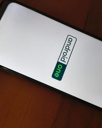 DISPLAY LCD con frame smarphone NOKIA G60