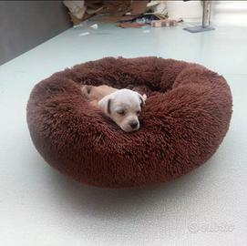 Cuccia per cani - Comfort  e stile su misura