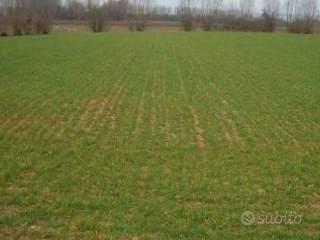 Terreno di 2500 m² a Sansepolcro