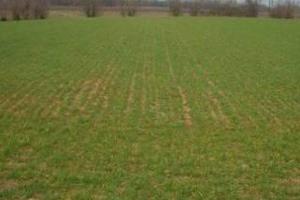 Terreno di 2500 m² a Sansepolcro