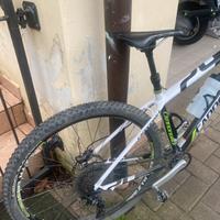Cannondale  mountain  bike