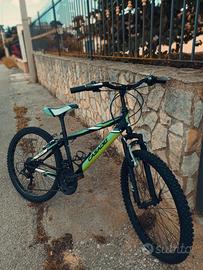 bici Casadei Stark 24