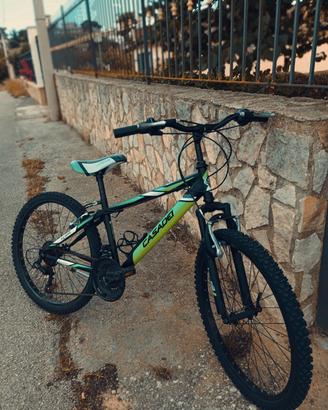 bici Casadei Stark 24