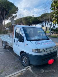 Fiat ducato cassonato