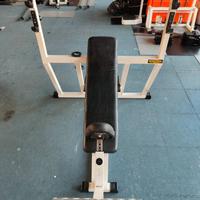 Panca Tecnhogym linea lux 30 pettorali