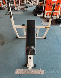 Panca Tecnhogym linea lux 30 pettorali