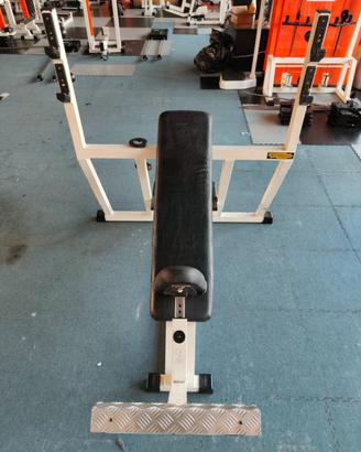 Panca Tecnhogym linea lux 30 pettorali