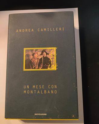 libro " Un mese con Montalbano "