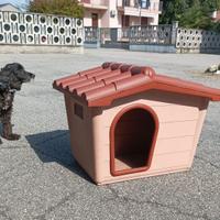 cuccia per cani .