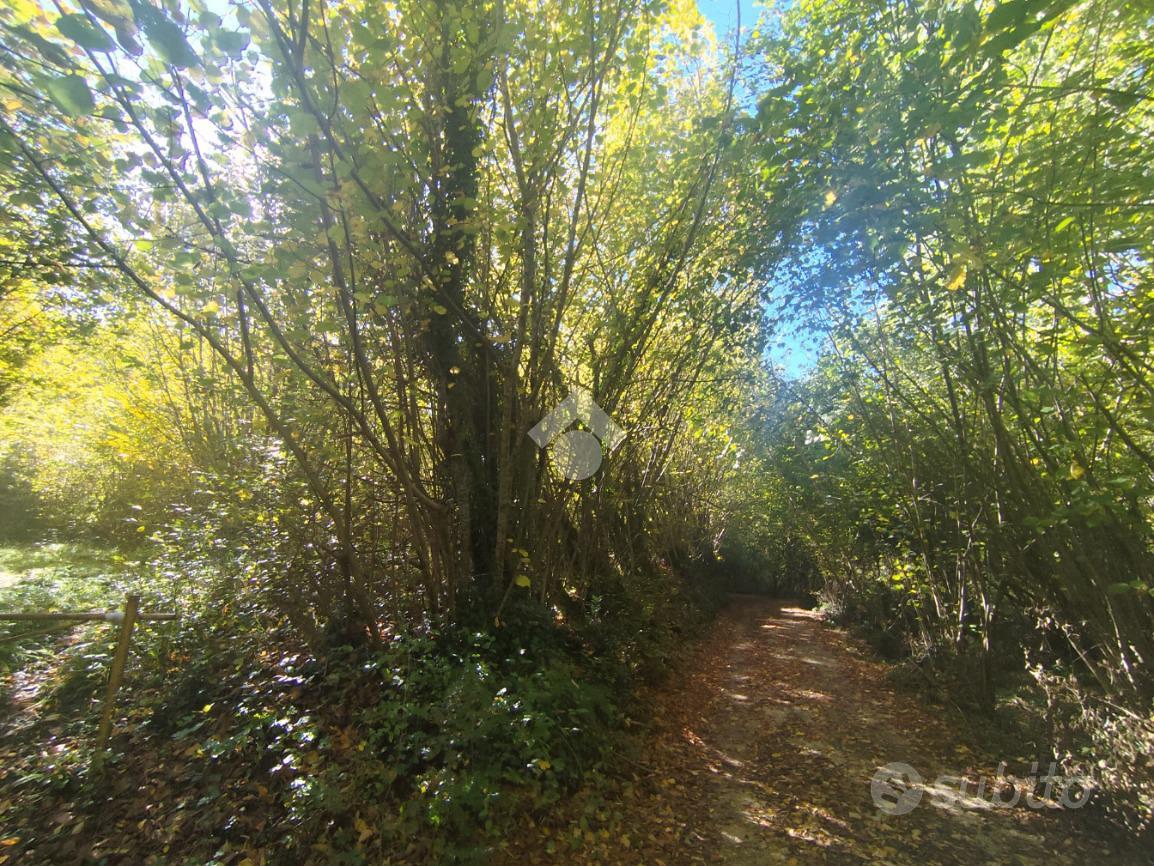 RUSTICO A SUBIACO - Vista 5