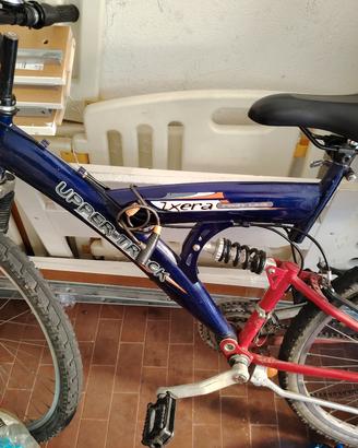 bicicletta