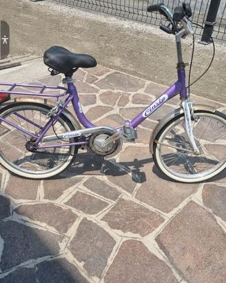 Bici pieghevole