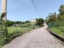 ter-agricolo-a-solto-collina