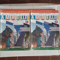 libro A Merveille 1