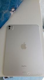 ipad pro M4 11pollici