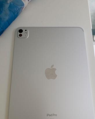 ipad pro M4 11pollici