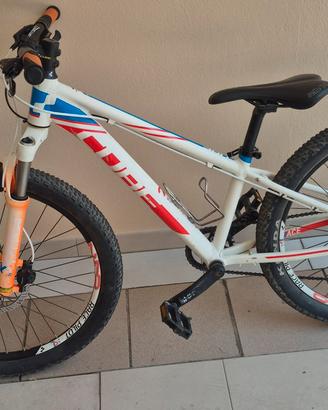 mtb 24
